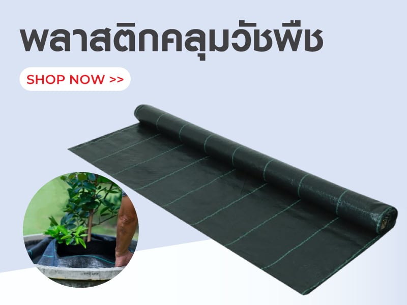 พลาสติกคลุมวัชพืช