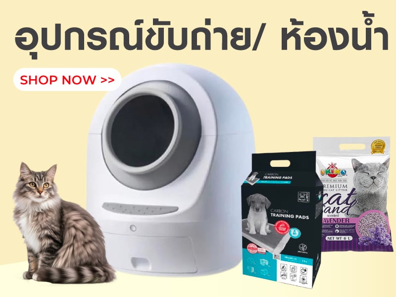 อุปกรณ์ขับถ่าย & ห้องน้ำ