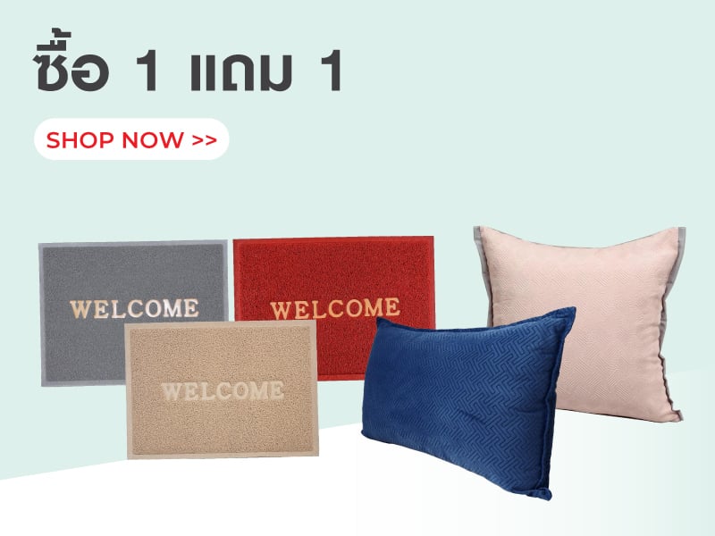 ซื้อ 1 แถม 1