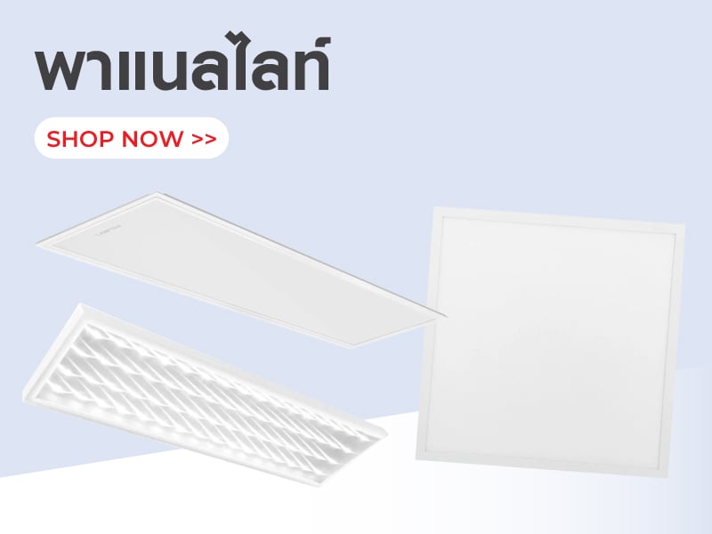 พาแนลไลท์