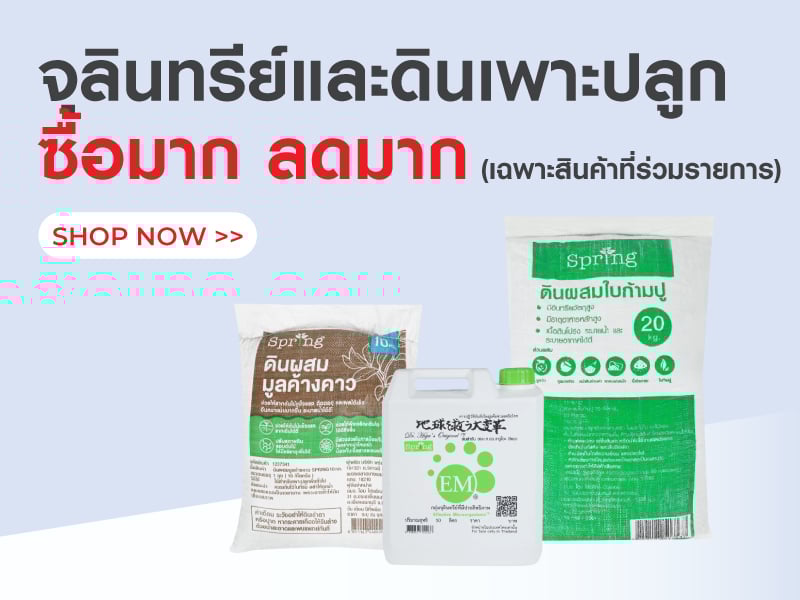 จุลินทรีย์และดินเพาะปลูก