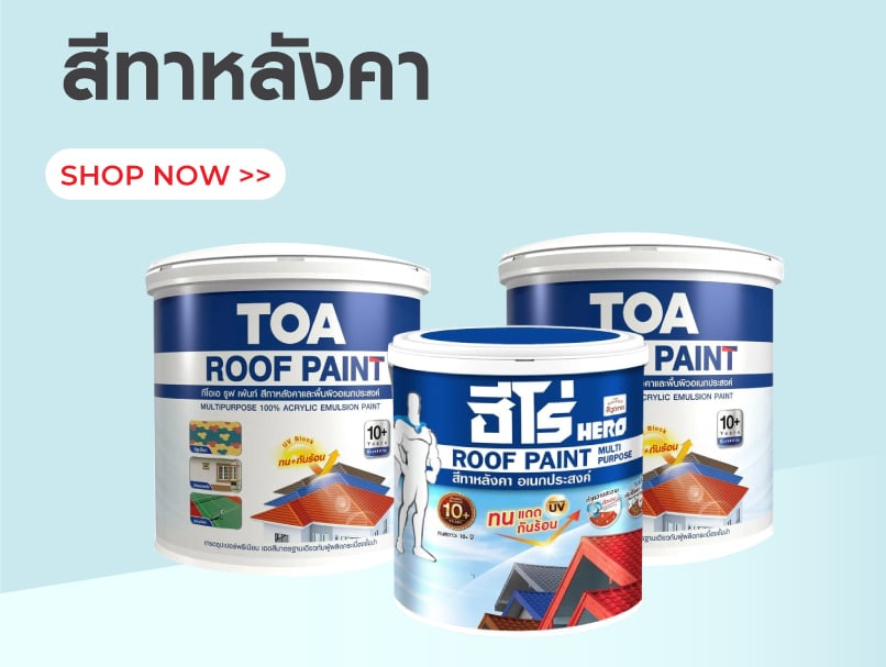 สีทาหลังคา