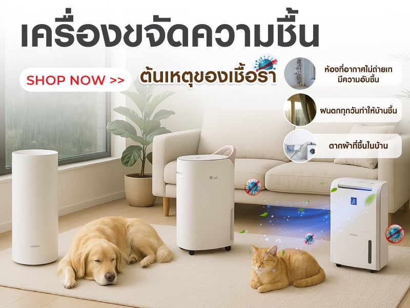เครื่องขจัดความชื้น