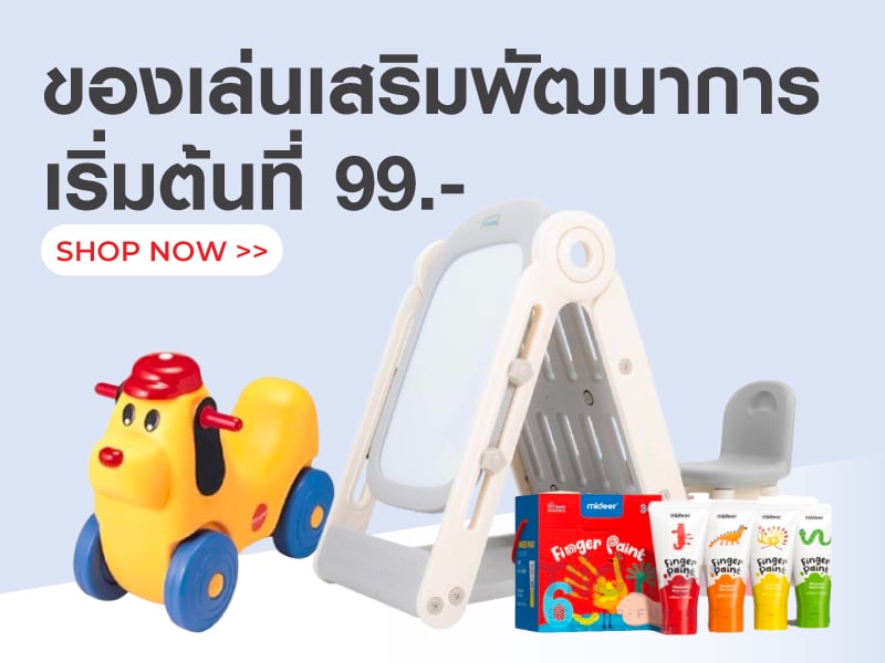 ของเล่นเสริมพัฒนาการ