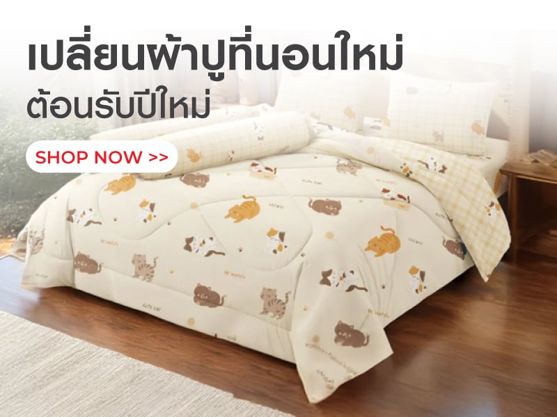 เปลี่ยนผ้าปูที่นอนใหม่ ตอนรับปีใหม่