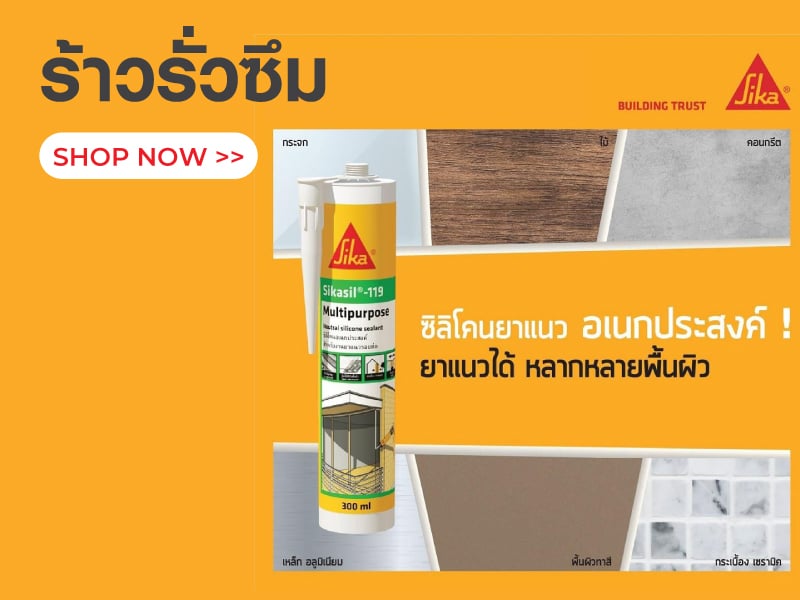 ร้าวรั่วซึม