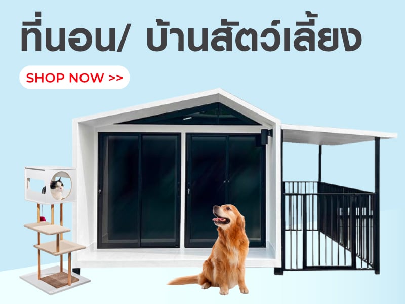 ที่นอน & บ้านสัตว์เลี้ยง