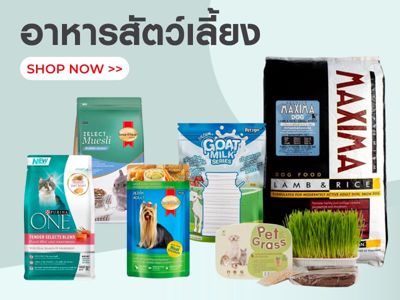 อาหารสัตว์เลี้ยง