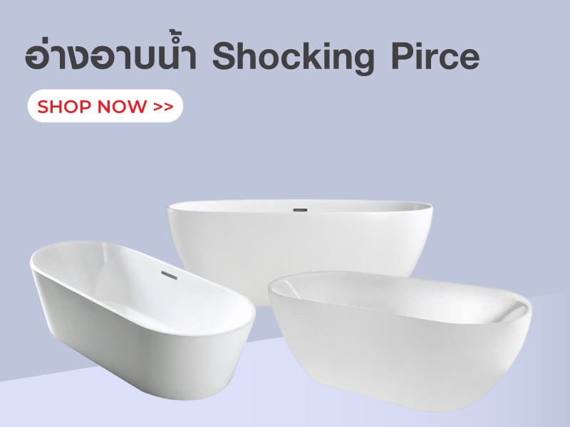 อ่างอาบน้ำ Shocking Pirce