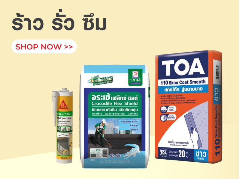 ร้าว รั่ว ซึม