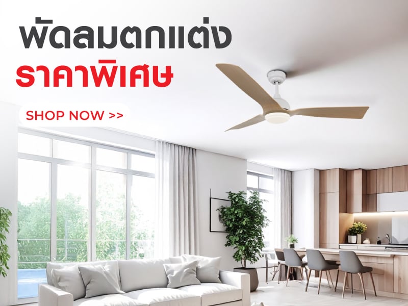 พัดลมตกแต่ง 