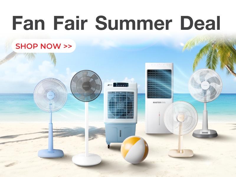 Fan Fair