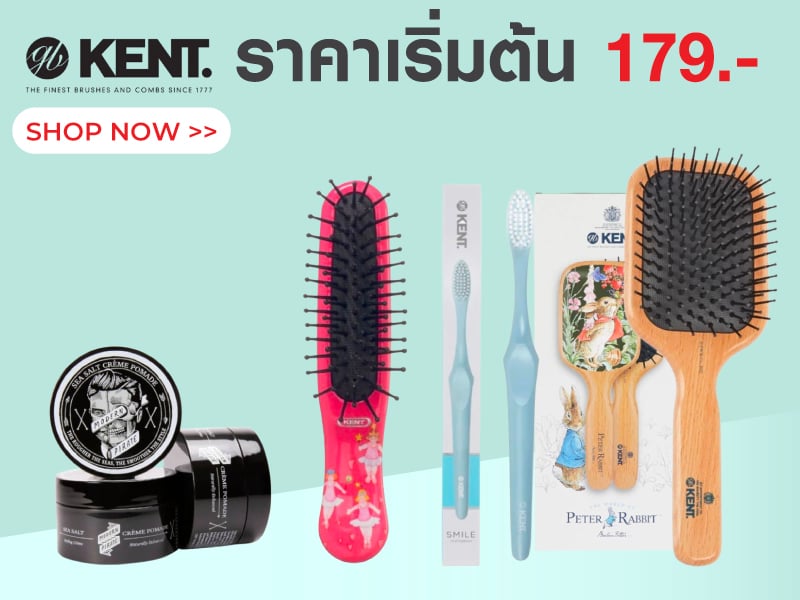 KENT ราคาเริ่มต้น 179.-
