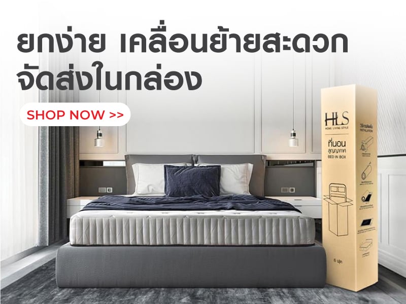 ยกง่าย จัดส่งในกล่อง