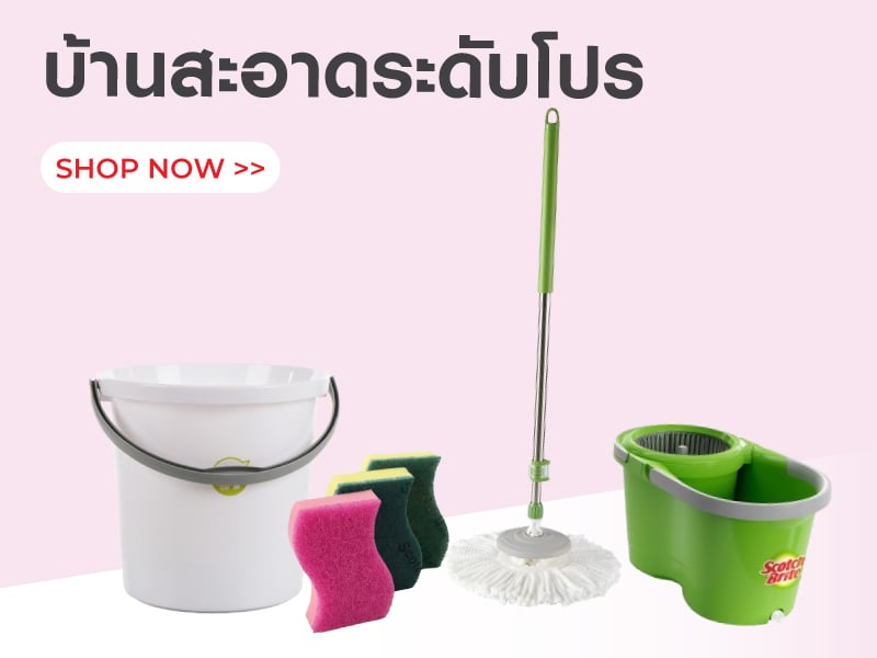 บ้านสะอาดระดับโปร