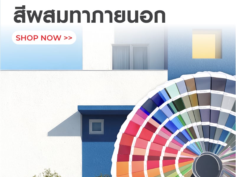 Exterior Mixed Colour