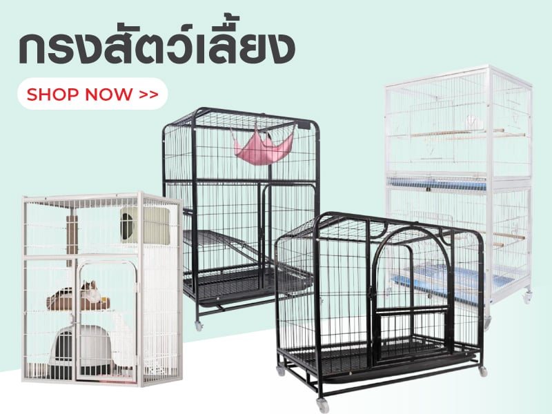 กรงสัตว์เลื้ยง