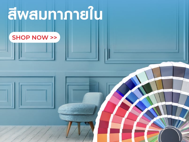 สีผสมทาภายใน