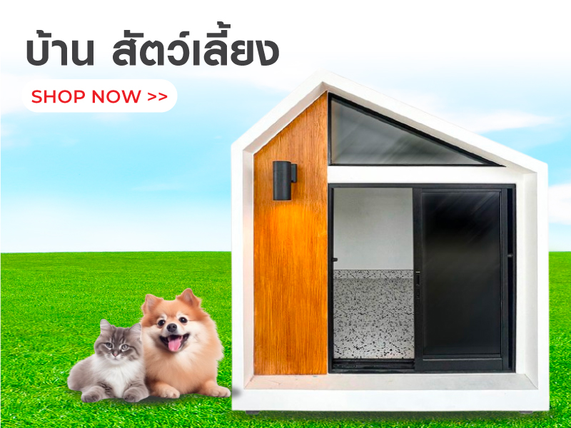 บ้าน สัตว์เลี้ยง 