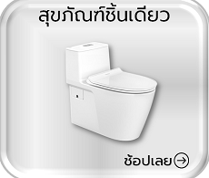 สุขภัณฑ์ชิ้นเดียว