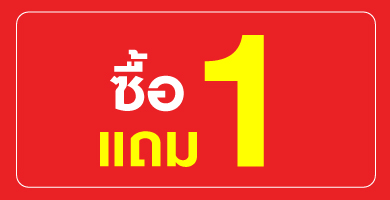 1 แถม 1
