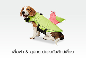 เสื้อผ้า & อุปกรณ์แต่งตัวสัตว์เลี้ยง