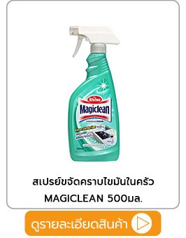 สเปรย์ขจัดคราบไขมันในครัว MAGICLEAN