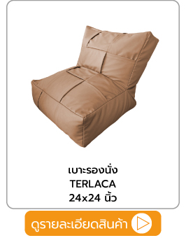 เบาะนั่งบีนแบ็ก