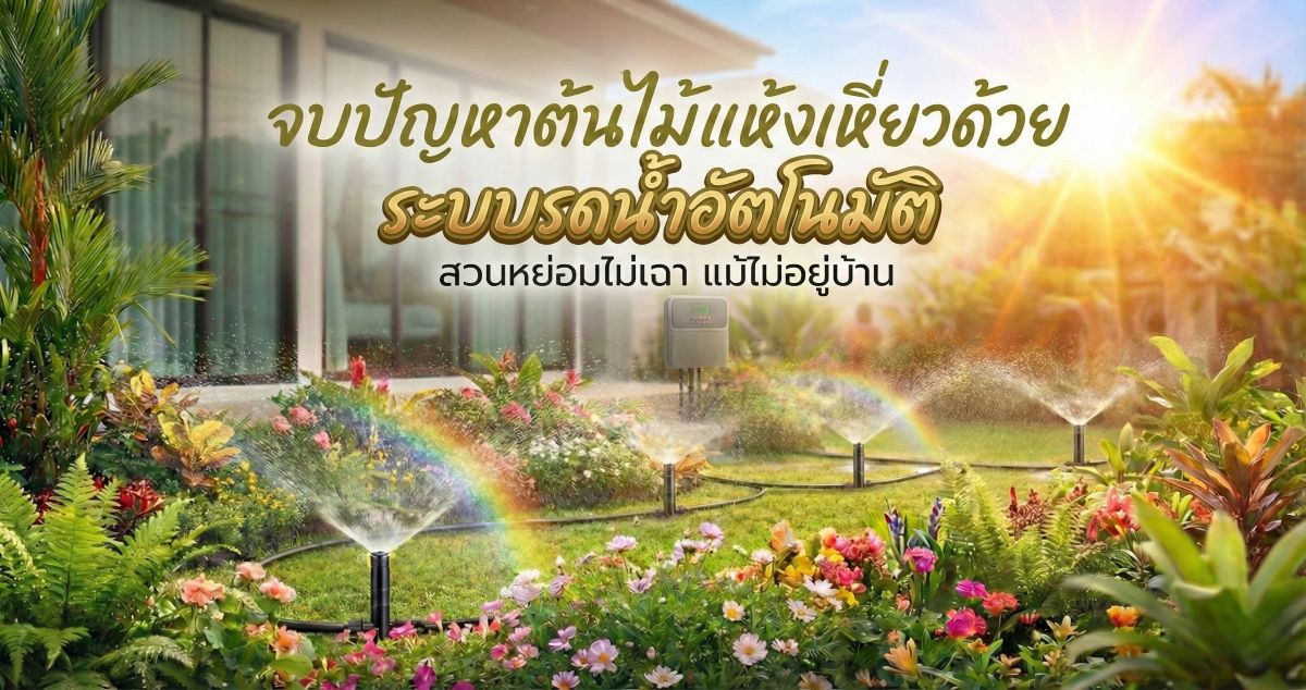 จบปัญหาต้นไม้แห้งเหี่ยวด้วยระบบรดน้ำอัตโนมัติ สวนหย่อมไม่เฉา แม้ไม่อยู่บ้าน