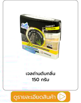 เจลถ่านดับกลิ่น