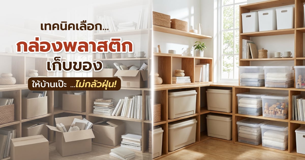 เทคนิคเลือกกล่องพลาสติกเก็บของให้บ้านเป๊ะ ไม่กลัวฝุ่น!