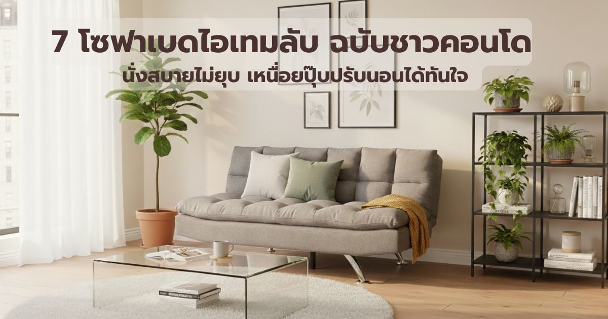7 โซฟาเบดไอเทมลับฉบับชาวคอนโด นั่งสบายไม่ยุบ เหนื่อยปุ๊บปรับนอนได้ทันใจ 