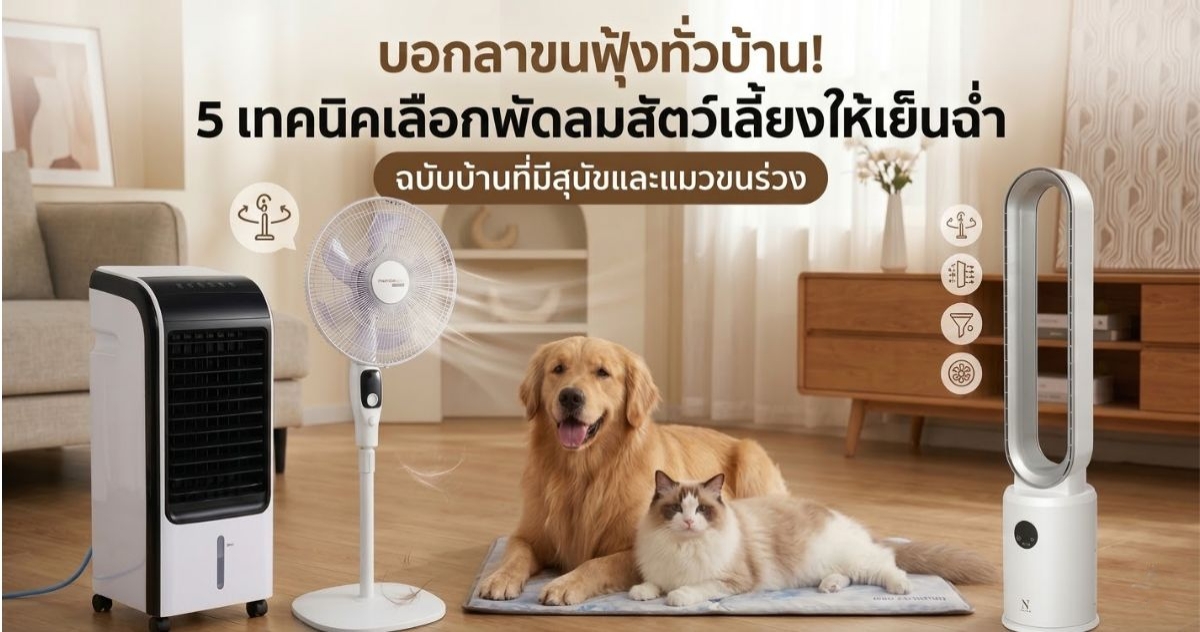 บอกลาขนฟุ้งทั่วบ้าน! 5 เทคนิคเลือกพัดลมสัตว์เลี้ยงให้เย็นฉ่ำ ฉบับบ้านที่มีสุนัขและแมวขนร่วง 