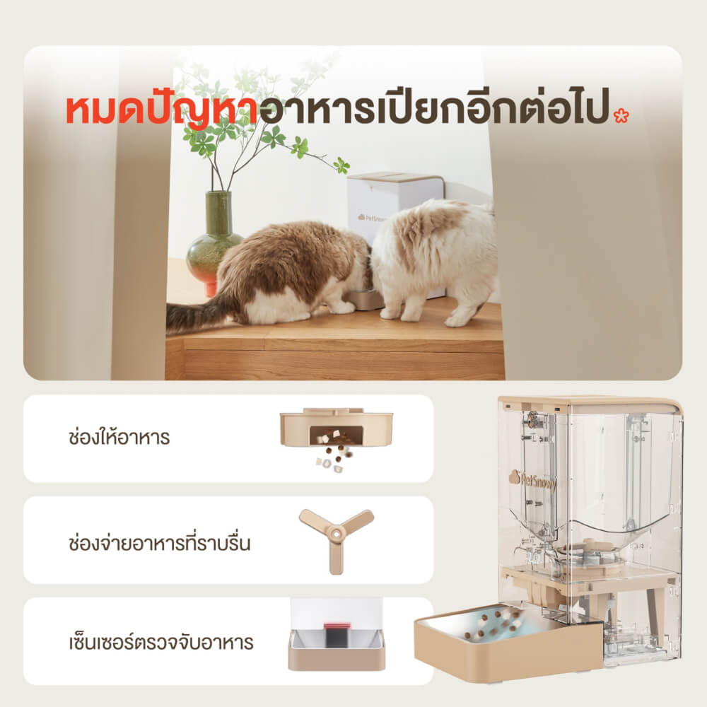 เครื่องให้อาหารแมว03