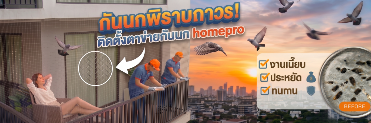 กันนกพิราบถาวร! ติดตาข่ายกันนก HomePro งานเนี๊ยบ จบทุกความสกปรก งบไม่บานปลาย