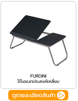 โต๊ะอเนกประสงค์