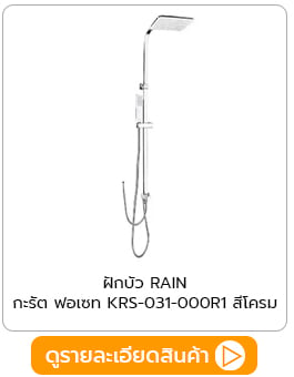 ฝักบัว RAIN SHOWER