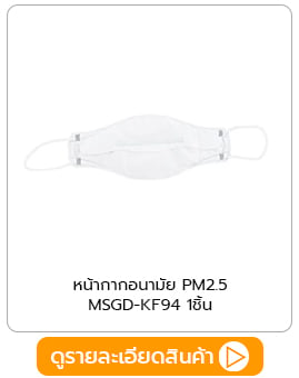 หน้ากากอนามัย PM2.5