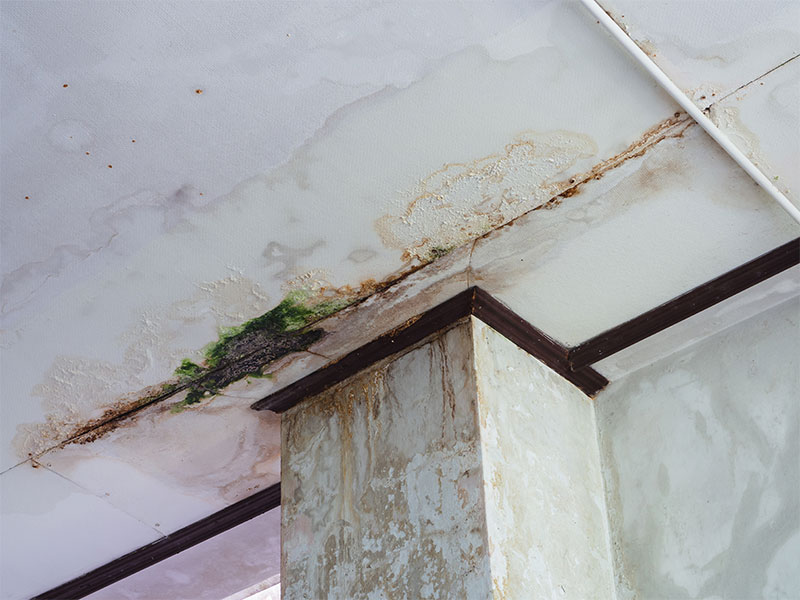 ท่อประปาแตกในเพดาน