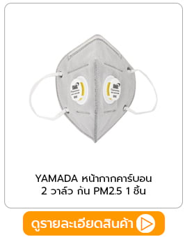 หน้ากากคาร์บอน PM2.5