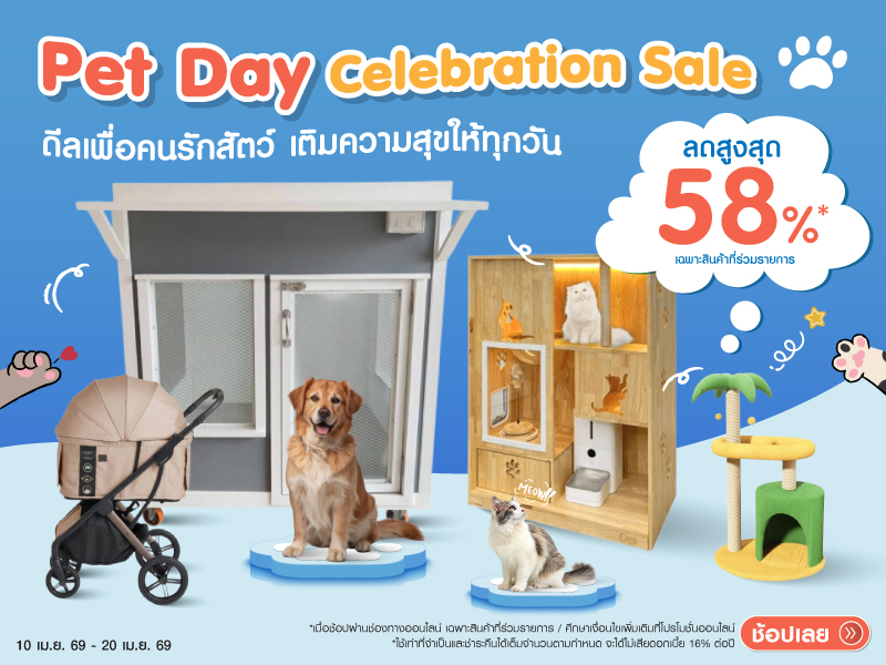 Pet day