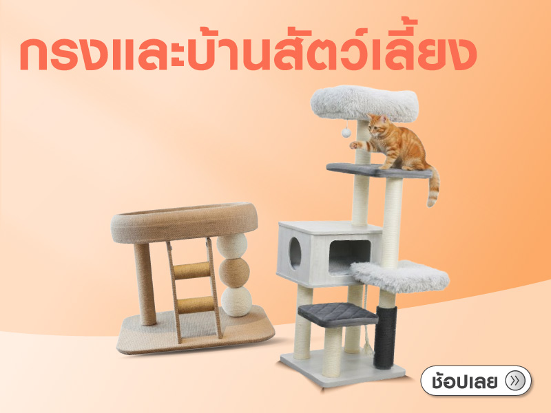 Pet Bed and House