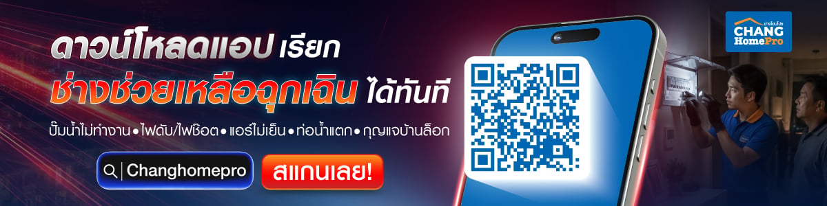 โหลดเลย