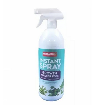INSTANT SPRAY GROWTH MASTER FS35 1 L