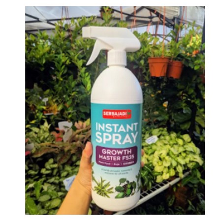 INSTANT SPRAY GROWTH MASTER FS35 1 L