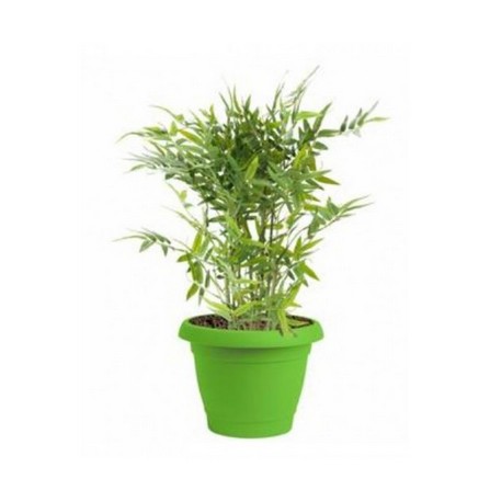 MACARON PLASTIC POT (L) 0770 EAGO LT GRN