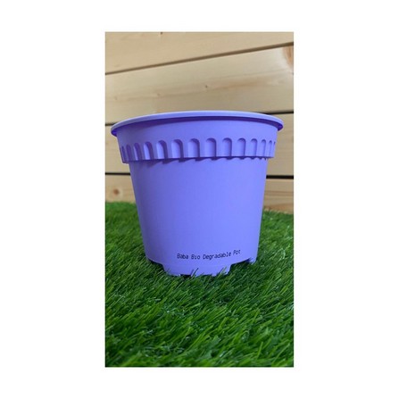 BIO POT BABA 5-RD120 12.5X12.5X11.5CM SC