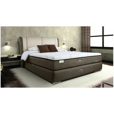 BEDFRAME KINGKOIL 5' NR 200