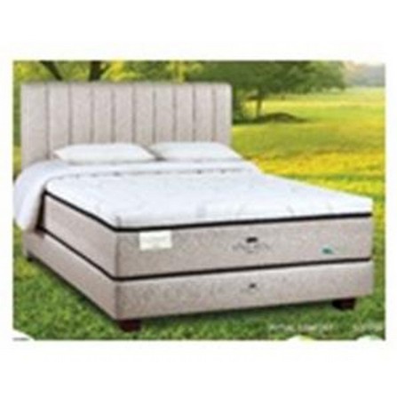 BEDFRAME KINGKOIL 5' NR 100