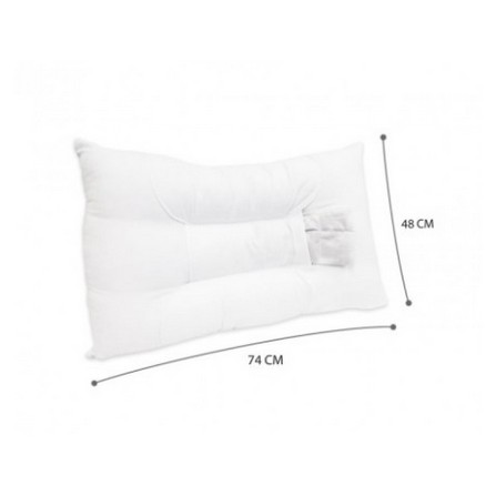 PILLOW CHESTER HERBS LAVENDER